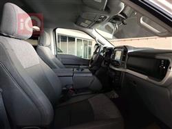 فۆرد F-150
